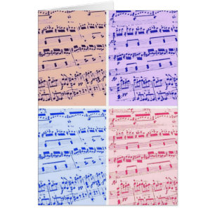 Muziekmajoor/student/leraar