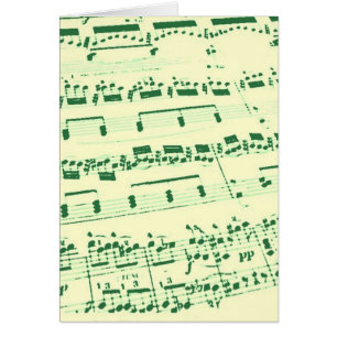 Muziekmajoor/student/leraar