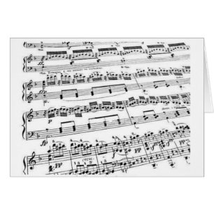 Muziekmajoor/student/leraar