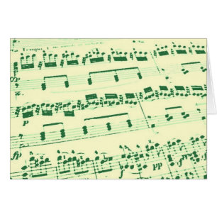 Muziekmajoor/student/leraar