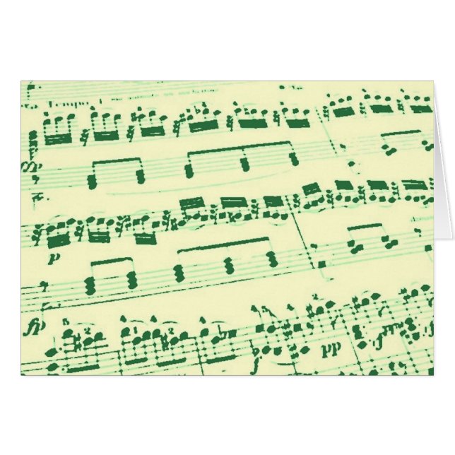 Muziekmajoor/student/leraar (Voorkant Horizontaal)