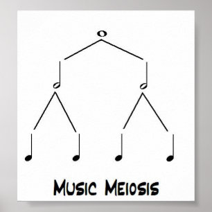 Muziekmeiose Poster
