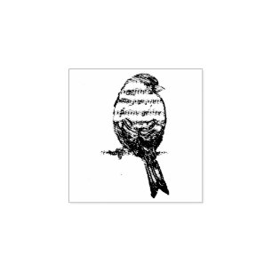 Muzieknoot Zingende Vogel Lied Rubberstempel