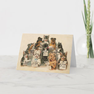 Muzikale Katten Honden Dagelijks Wenskaart Feestdagen Kaart
