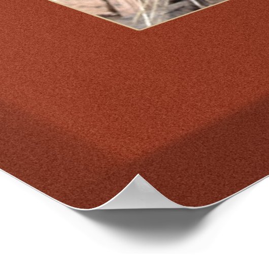 MuzzleLoaders Special Poster (Hoek)