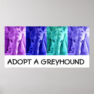 Mx4 Vaststellen een Poster van Greyhound
