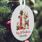 My 1st Christmas Little Reideer Photo