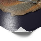 My Banana, Photo Print (Coin)