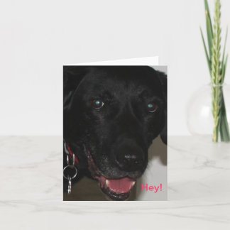 My Black Lab Thank You Card Kaart