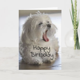 **MY BROTHER** HAPPY BIRTHDAY CARD KAART