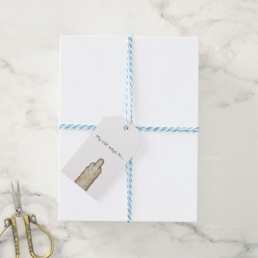 My Cat Says Hi... Cadeaulabel (Met Touw)