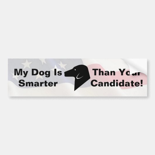My Dog Dog is Smarter American Flag Bumper Sticker (Devant)
