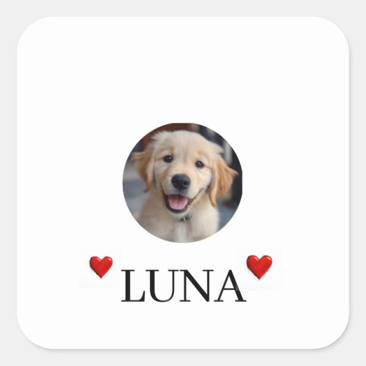 My Dog Personalized Photo & Name Stickers (Devant)