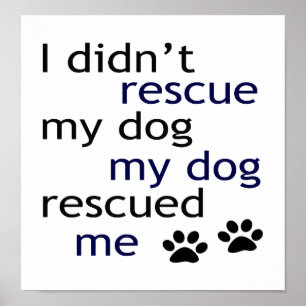 My Dog Rescued Me Poster