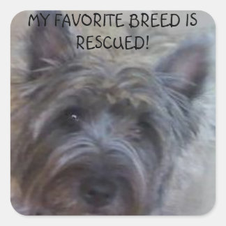 My Favorite Breed is Rescued! Vierkante Sticker