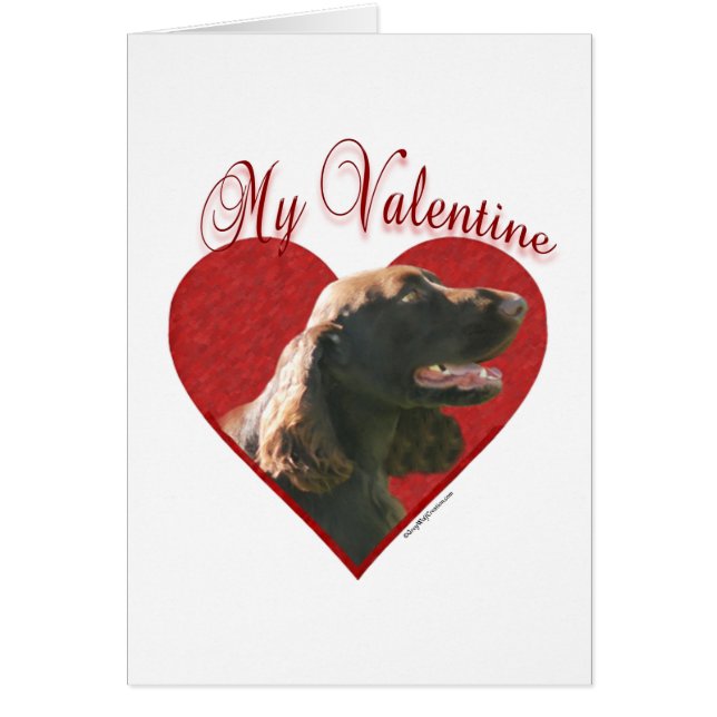My Field Spaniel Valentine (Devant)