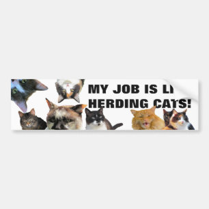 MY JOB IS IKE hERDING cATS! Bumpersticker