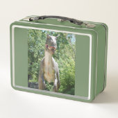 My T-Rex Dinosaur (Achterkant)