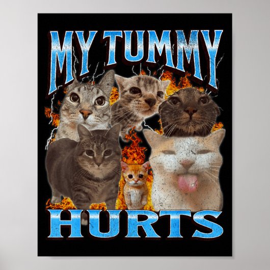 My Tummy Hurts Funny Cat Meme Bootleg Graphic Poster (Voorkant)