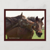 My Turbulent Miss with Taba Postcard Briefkaart (Voorkant)