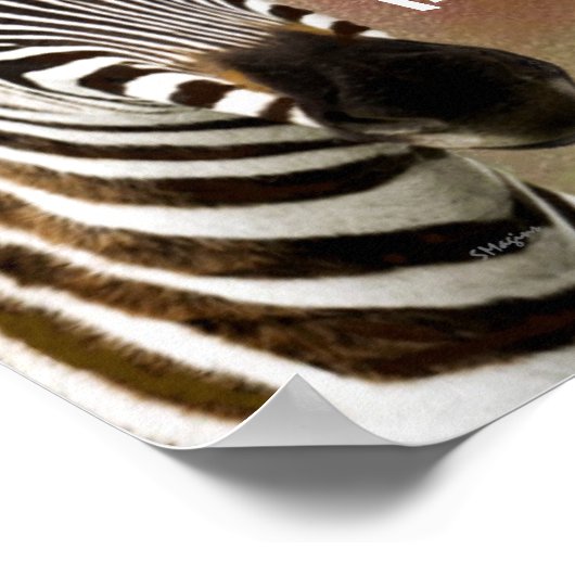 My Zebra Ate My Homework Classroom Poster (Coin)