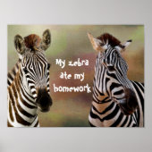 My Zebra Ate My Homework Classroom Poster (Devant)
