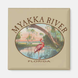 Myakka River Florida met Roseate Spoonbill Magneet