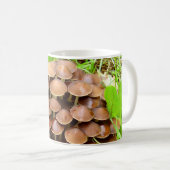 Mycena inclinata Mug (Devant droit)