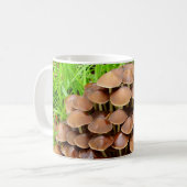Mycena inclinata Mug (Devant gauche)