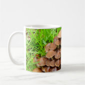 Mycena inclinata Mug (Gauche)