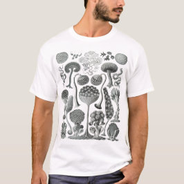 Mycetozoa - Kunstformen der Natur (1904) door Erns T-shirt