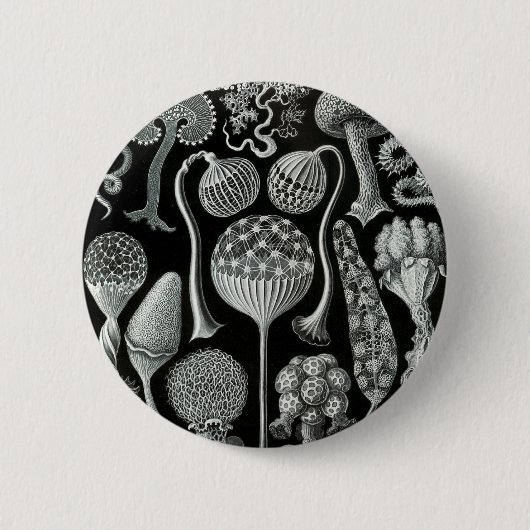Mycetozoa van Ernst Haeckel Ronde Button 5,7 Cm (Voorkant)