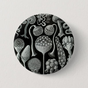 Mycetozoa van Ernst Haeckel Ronde Button 5,7 Cm