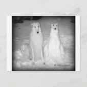 Mychtar en Zijne Snowdog. :) Briefkaart (Voorkant)