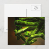 Mycobacterium Tuberculosis Briefkaart (Voorkant / Achterkant)