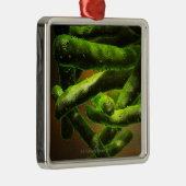 Mycobacterium Tuberculosis Metalen Ornament (Rechts)