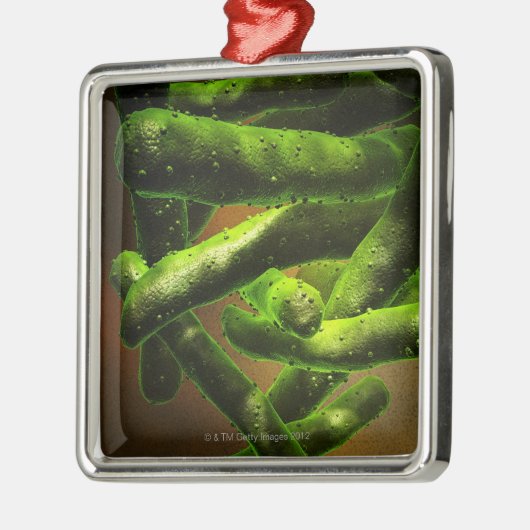 Mycobacterium Tuberculosis Metalen Ornament (Links)
