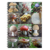 MycoJournal Notitieboek (Voorkant)
