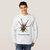 Mygale sur un t-shirt (Devant entier)