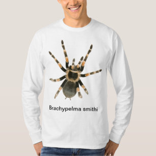 Mygale sur un t-shirt