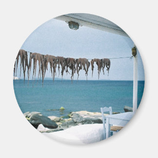 Mykonos, Griekenland Magnet Magneet