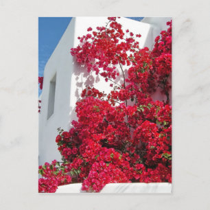 Mykonos-huizen Briefkaart