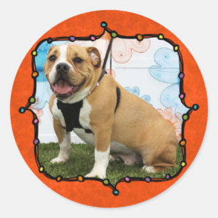Mylo - English Bulldog Ronde Sticker