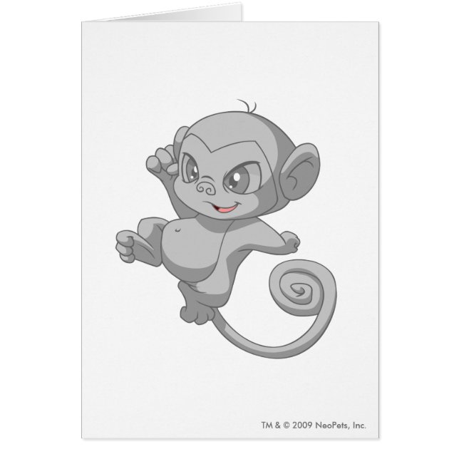 Mynci Silver (Voorkant)