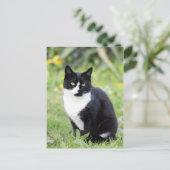 Myrdha de kat briefkaart (Staand voorkant)