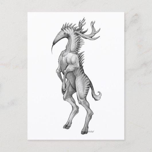 Myrmedeer - Carte postale (Devant)