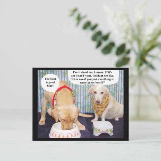 Myrtie & Moses discutent du menu (Debout devant)