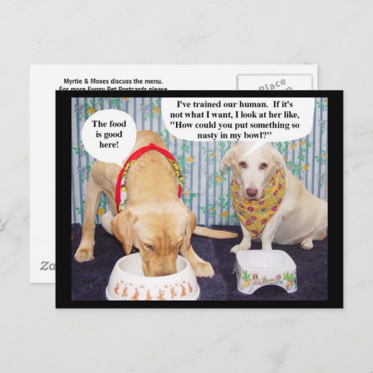 Myrtie & Moses discutent du menu (Devant / Derrière)