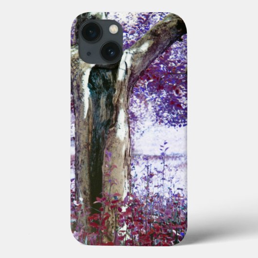Mysterie Case-Mate iPhone Case (Achterkant)