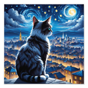 Mysterie Cat Foto Afdruk